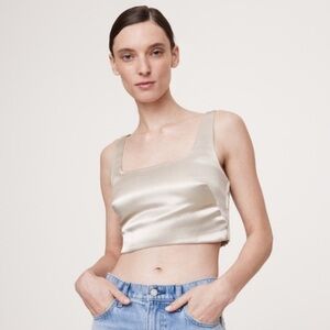 Banana Republic Champagne Fitted Crop Square Neck Bustier